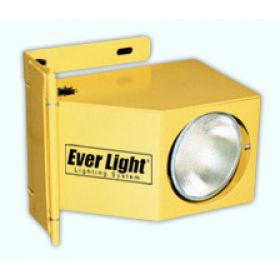 Loading Dock Lights are used in high traffic distribution centers.